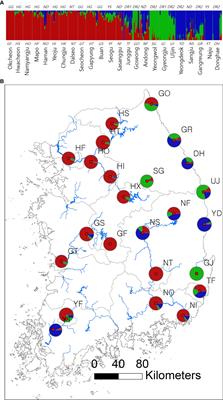 Genetic diversity pattern reveals the primary determinant of burcucumber (Sicyos angulatus L.) invasion in Korea